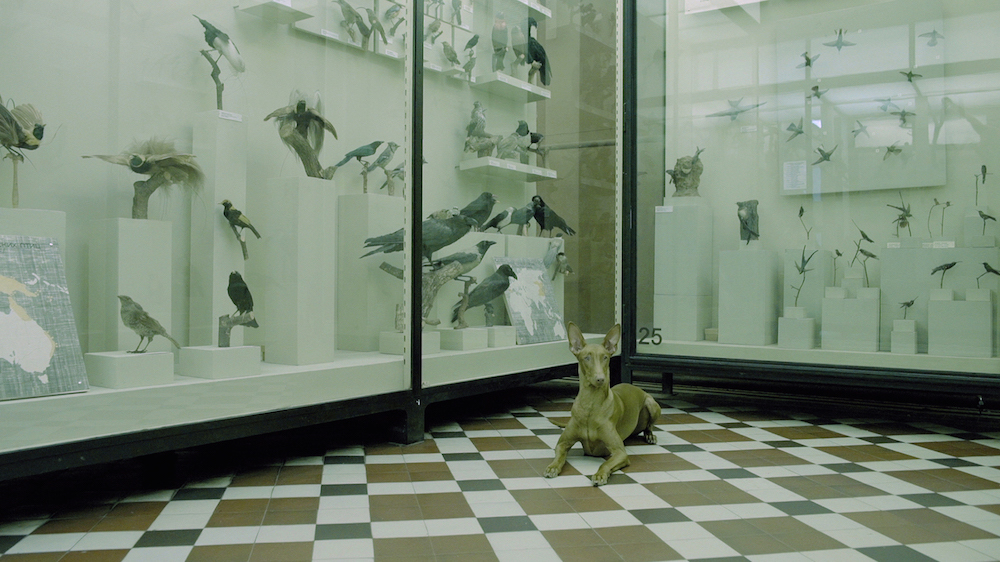 Депровинциализировать Россию: интервью с комиссаром Уральской индустриальной биеннале Алисой Прудниковой (фото 17)