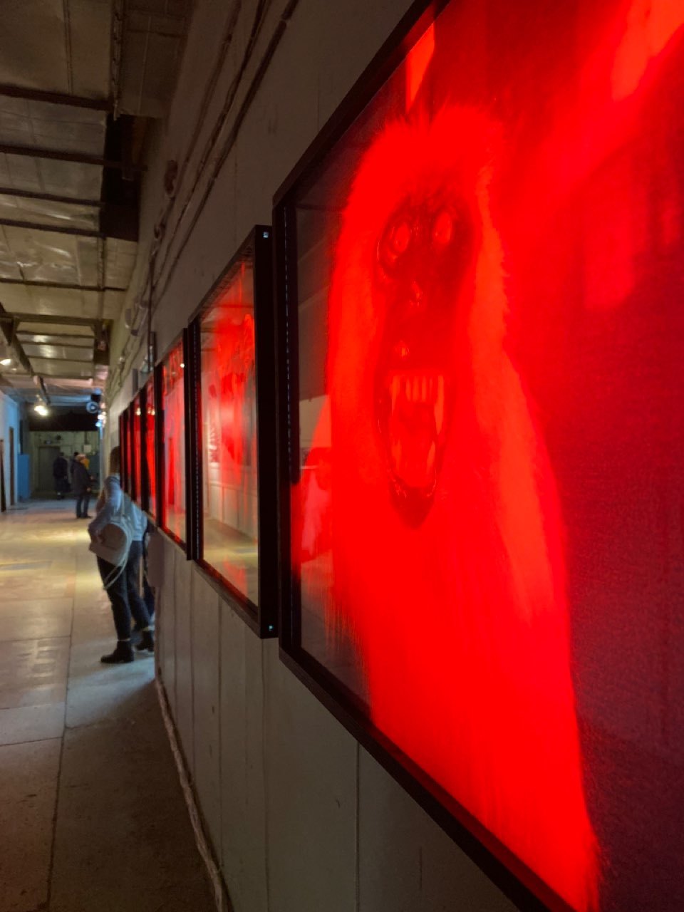 Депровинциализировать Россию: интервью с комиссаром Уральской индустриальной биеннале Алисой Прудниковой (фото 10)