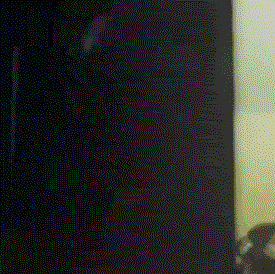 Марк Ридер — о Берлине, панке, техно и ревущих 2020-х (фото 18)