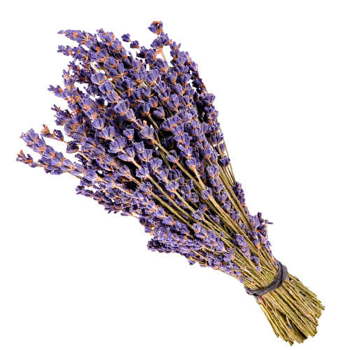 Стилисты показывают пять самых французских причесок (фото 27)