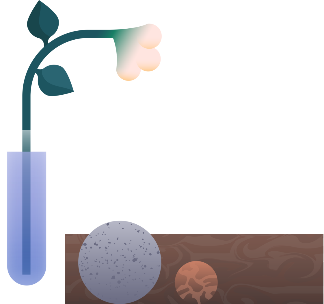 Люминиры, виниры и элайнеры. Почему важно следить за своим прикусом (фото 15)