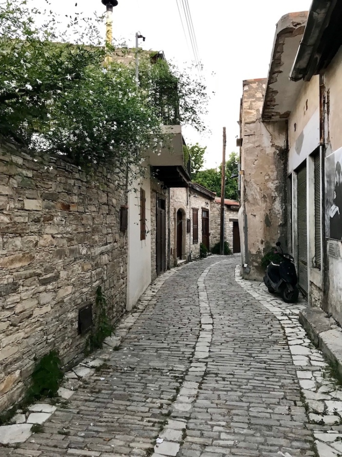 Коронавирус на Кипре: комендантский час, штрафы по 150 евро и измученные прогулками собаки на острове (фото 7)