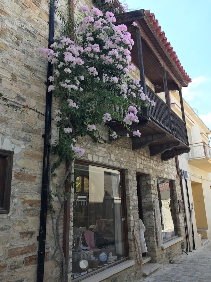 Коронавирус на Кипре: комендантский час, штрафы по 150 евро и измученные прогулками собаки на острове (фото 9)