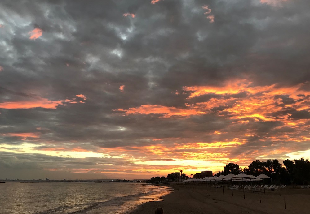 Коронавирус на Кипре: комендантский час, штрафы по 150 евро и измученные прогулками собаки на острове (фото 8)