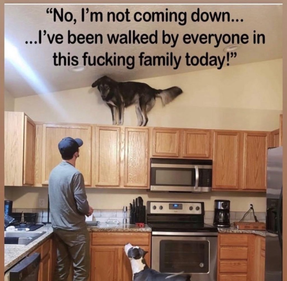 Коронавирус в Испании: самый жесткий карантин в Европе и первые послабления в начале мая (фото 11)