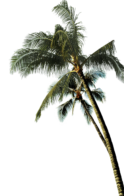 Экологичность и безопасность: архитекторы — о городах и автомобилях будущего (фото 14)