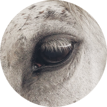 Экологичность и безопасность: архитекторы — о городах и автомобилях будущего (фото 35)