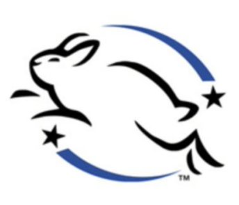 Тестирование косметики на животных: что об этом нужно знать прямо сейчас (фото 12)