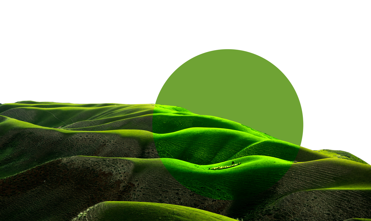 Устроить диджитал-детокс, созерцание природы в экспедиции (фото 1)