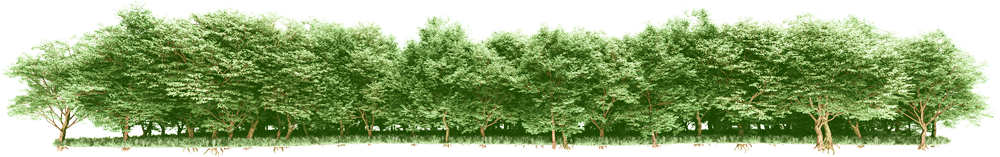 Устроить диджитал-детокс, созерцание природы в экспедиции (фото 5)