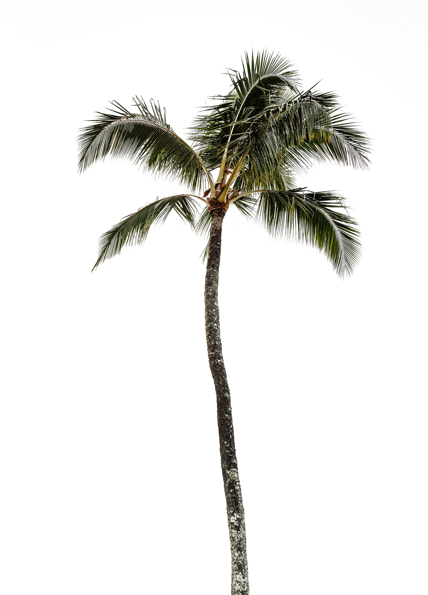 Изменить образ жизни, устроить воркейшен у моря (фото 3)