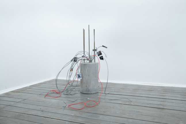 Шесть молодых российских художников — о связи природы и искусства (фото 14)