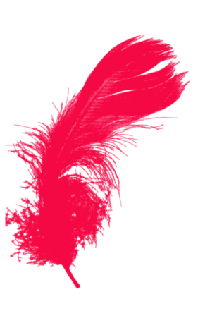 Гид по культуре доминирования: что вы хотели знать, но стеснялись спросить (фото 5)