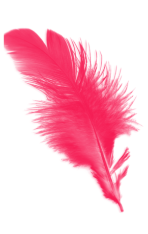 Гид по культуре доминирования: что вы хотели знать, но стеснялись спросить (фото 20)