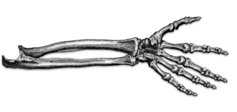 Они тоже чего-то боялись: страхи самых жестоких серийных убийц (фото 34)