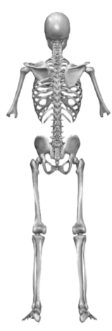 Они тоже чего-то боялись: страхи самых жестоких серийных убийц (фото 38)