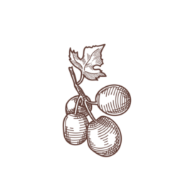 «Навеки ваша, Мадам Клико»: кому отправляла письма самая знаменитая вдова Шампани (фото 8)