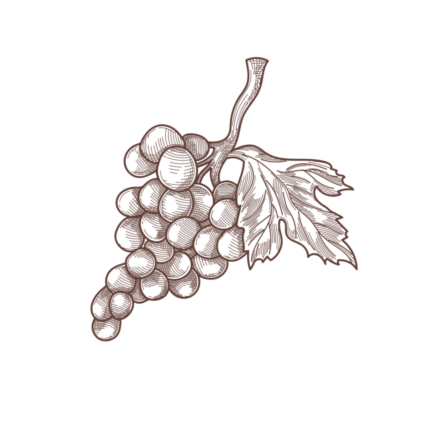 «Навеки ваша, Мадам Клико»: кому отправляла письма самая знаменитая вдова Шампани (фото 1)