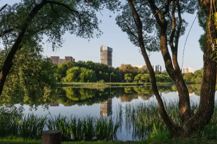 Вместе весело шагать: девелопер FORMA и «Музей Москвы» запускают архитектурные прогулки по столице (фото 11)