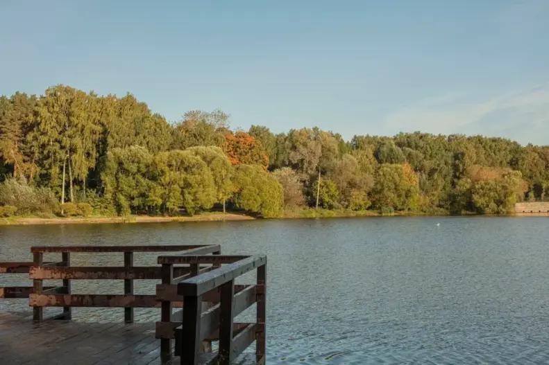 Вместе весело шагать: девелопер FORMA и «Музей Москвы» запускают архитектурные прогулки по столице (фото 4)