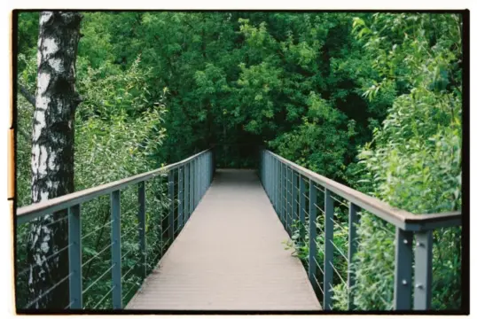 Вместе весело шагать: девелопер FORMA и «Музей Москвы» запускают архитектурные прогулки по столице (фото 6)