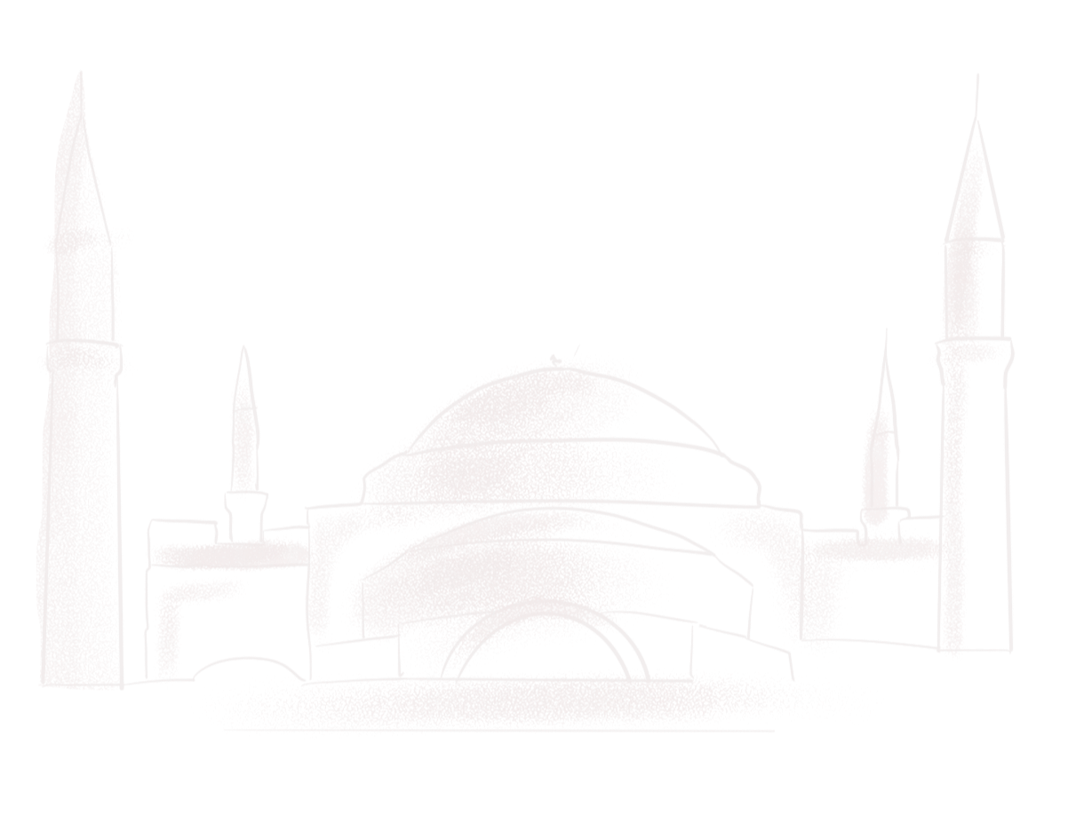 Искусство любви, вражды и драмы: в чем секрет турецких сериалов (фото 17)