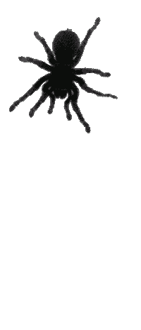 Путешествие в мир забытых страхов: миф или реальность (фото 26)