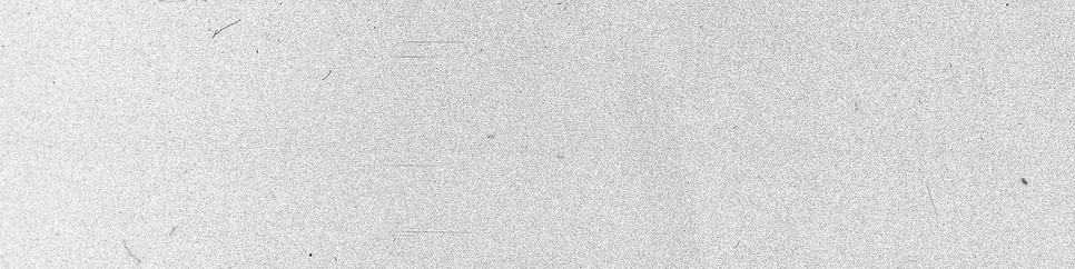 Повелеваю жить: каким получился фильм «Настоящая боль» Джесси Айзенберга (фото 17)