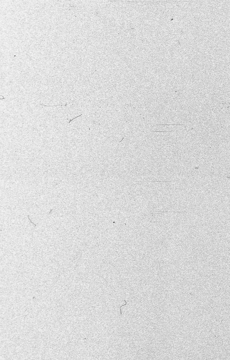 Повелеваю жить: каким получился фильм «Настоящая боль» Джесси Айзенберга (фото 9)