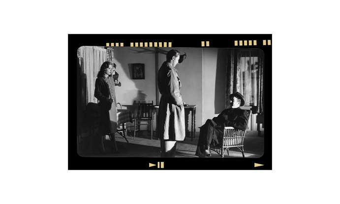 Пессимизм, паранойя, похоть: фильм-нуар в теории и на практике (фото 24)