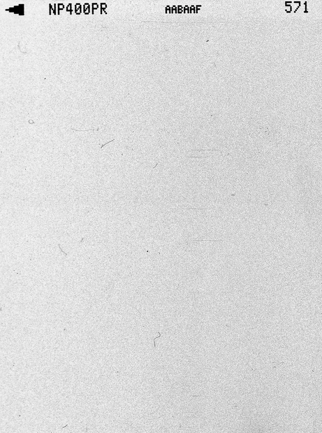 Ценность каждой жизни, колонизаторство и власть в руках идиотов: о чем размышляет Пон Джун-хо в фильме «Микки 17» (фото 8)