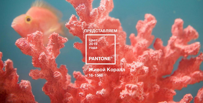 Pantone назвал главный цвет 2019 года