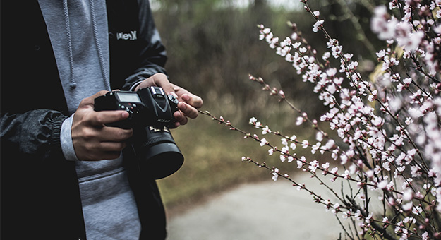 В закладки: гарвардский курс по основам фотографии