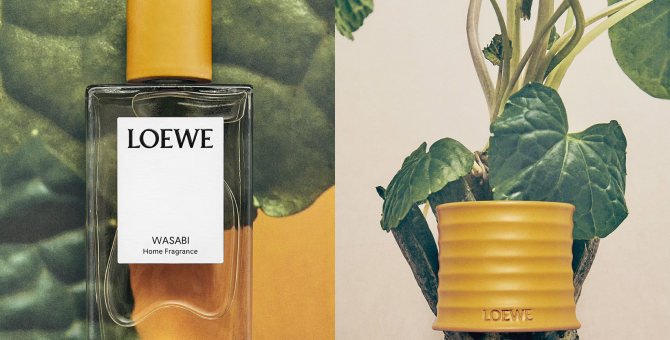 Loewe представил новый аромат с нотами васаби