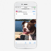 Instagram разрешил публиковать фотографии через мобильный браузер