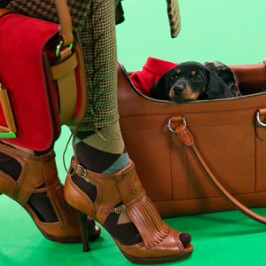 The Dog Walk: проект марки Ralph Lauren