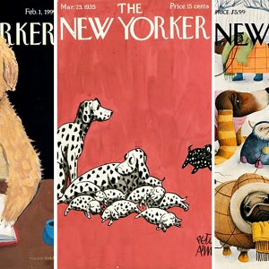 The New Yorker выпустил книгу о собаках