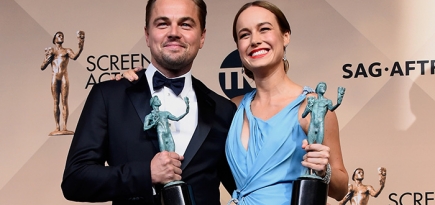 Гости и победители премии Screen Actors Guild Awards — 2016