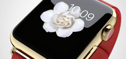 Apple Watch появятся в продаже лишь весной 2015 года