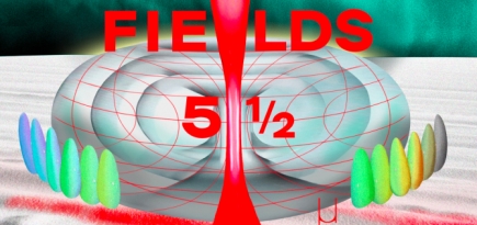 В феврале в Mutabor пройдет музыкальный фестиваль Fields 5½