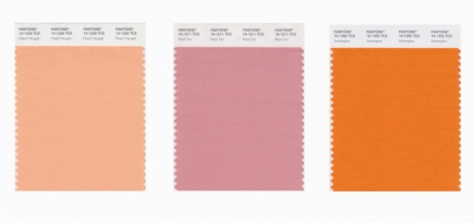 Янтарь, персик и пыльная роза: Pantone назвал главные цвета сезона осень-зима 2020