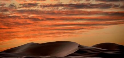 Восточная сказка от Qasr Al Sarab Desert Resort