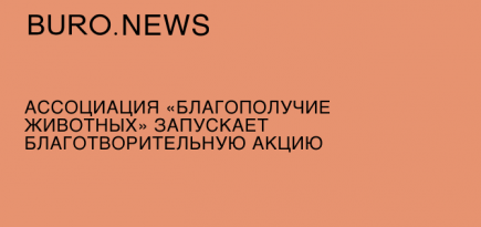 Ассоциация «Благополучие животных» запускает благотворительную акцию