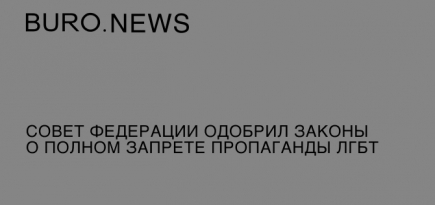 Совет Федерации одобрил законы о полном запрете пропаганды ЛГБТ