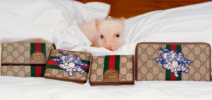 Свинки на прогулке и за обедом в новой кампании Gucci в честь года свиньи