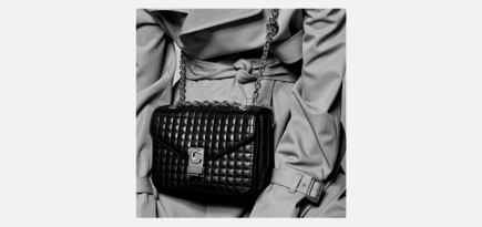 Эди Слиман представил новую модель сумки Celine С Bag