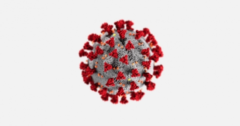 Ученые из США и Китая обнаружили натуральное средство от коронавируса