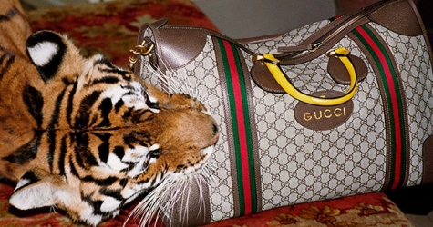 Тигры, львы и жирафы в новой кампании Gucci