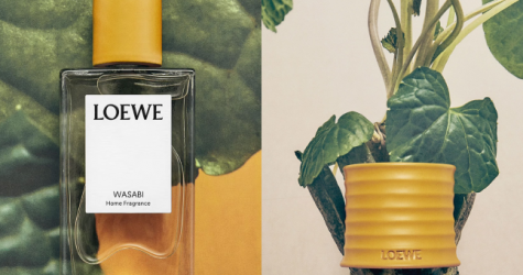 Loewe представил новый аромат с нотами васаби