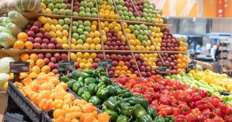 В гипермаркете «Глобус Саларьево» пройдет зож-фестиваль GreenFest